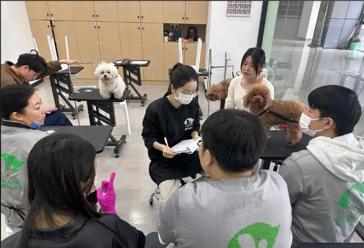 通辽市宠物美容学习宠物美容培训学校 - 排名